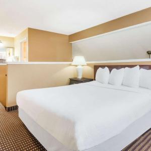 Executive King Studio Suite - Non-Smoking