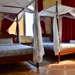 Superior Twin Room with City View