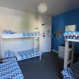 Bunk Bed in Mixed Dormitory Room