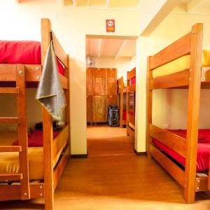 Bed in Mixed Dorm (14 Beds)