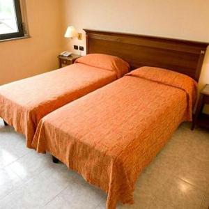 Basic Triple Room