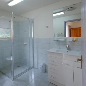 Deluxe Double or Twin Room with River View