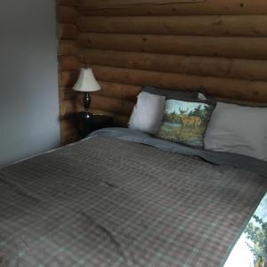 Cabin Suite