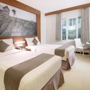 Superior Double or Twin Room
