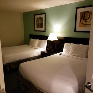 Two-Bedroom Suite with One King and Two Queen Beds - Ocean Front