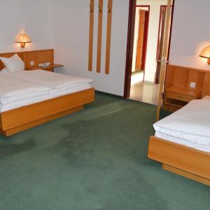 Triple Room with Mountain View