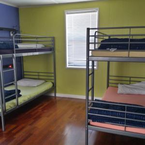 Bunk Bed in Female Dormitory Room  