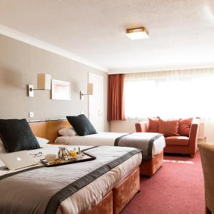 Standard Family Room with King Bed and Single Bed