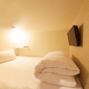 Superior Capsule Room for Male - Lower Level