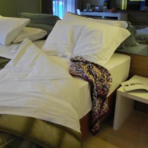 Two Connecting Double or Twin Rooms