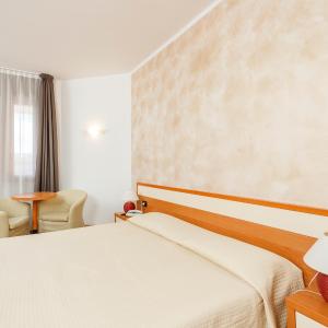 Standard Double Room - Single Use