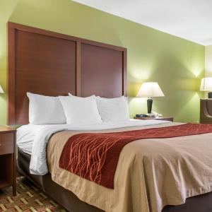 2 King Beds, Nonsmoking
