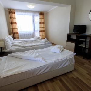 Triple Room with Mountain View