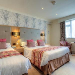 Twin or Family Room 