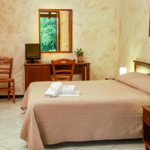 Double or Twin Room with Garden View