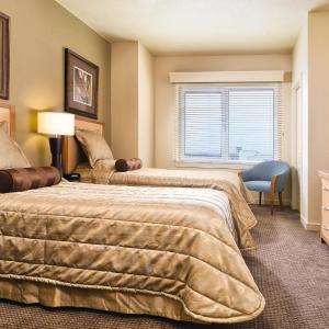 Three-Bedroom Suite