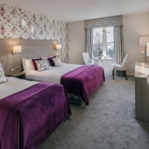 Deluxe Double or Twin Room with River View
