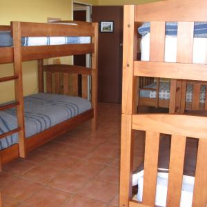 Single Bed in 8-Bed Dormitory Room