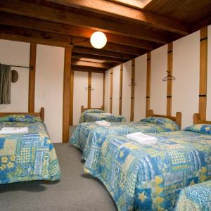 Single Bed in Mixed Dormitory Room