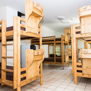 Bunk Bed in Mixed Dormitory Room
