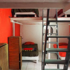 Bed in 8-Bed Mixed Dormitory Room