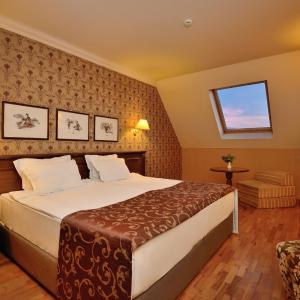Double Room - Attic without Balcony