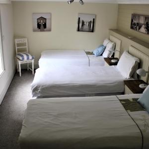 Double or Twin Room with Extra Bed