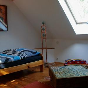 Duplex Apartment