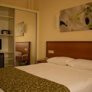 Standard Double or Twin Room with Garden View