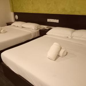 Family 4 Suite Room