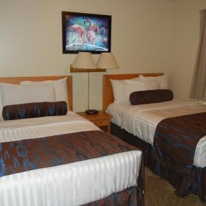One-Bedroom Suite with Two Double Beds and Kitchen - Non Pet Friendly