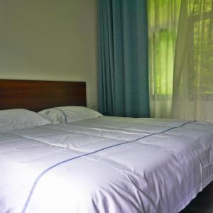 Heavenly City Suite Room(501)