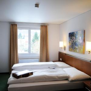 Basic Double Room
