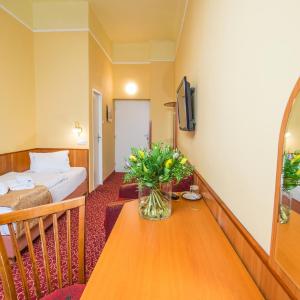 Comfort Single Room