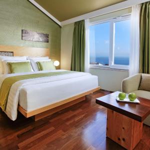 Deluxe Double or Twin Room with Balcony