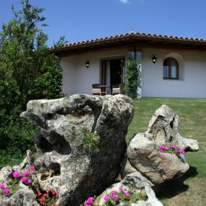 Superior Double Room with Garden View