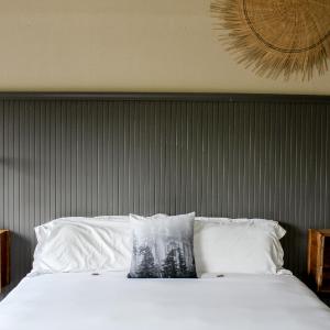 Deluxe King Suite - Pet Friendly