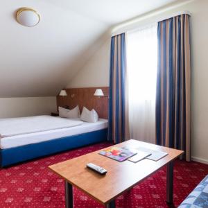 Standard One-Bedroom Apartment