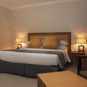 Standard Room with Mountain View