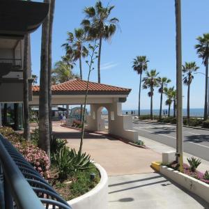King Room with Ocean View
