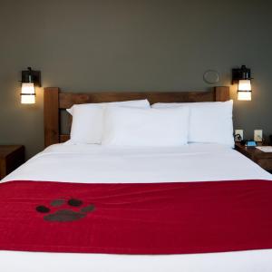 Deluxe Majestic Bunk Bed Suite