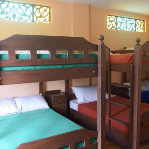 6-Bed Mixed Dormitory Room
