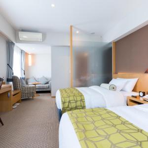 Deluxe Twin Room - Non-Smoking