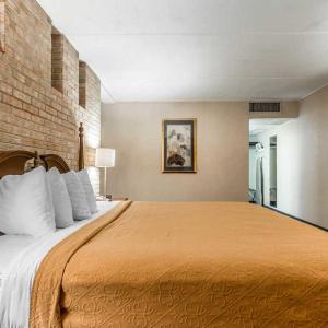 Upgraded Room, 1 King Bed - Non-Smoking
