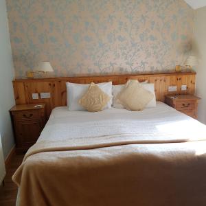 Luxury Single Room