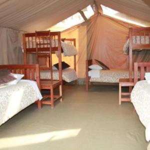 Bed in 8-Bed Mixed Dormitory Room