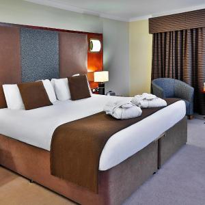 Executive Double Room - Non-Smoking