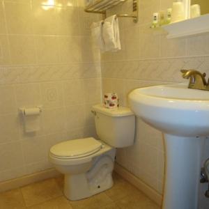 Double Room with Two Double Beds