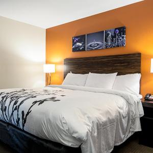 King Room - Accessible/Non-Smoking