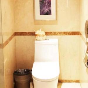 Jinling Business Twin Room